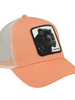 Gorra Goorin Broos The Panther Coral